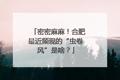 密密麻麻！合肥最近频现的“虫卷风”是啥？