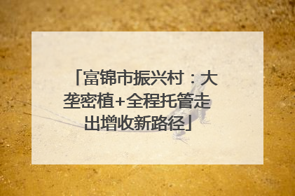 富锦市振兴村：大垄密植+全程托管走出增收新路径