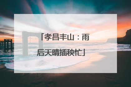 孝昌丰山：雨后天晴插秧忙