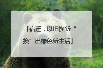 宿迁：以旧换新“换”出绿色新生活