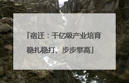 宿迁：千亿级产业培育稳扎稳打、步步攀高