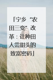 宁乡“农田三变”改革：让种田人尝甜头的致富密码
