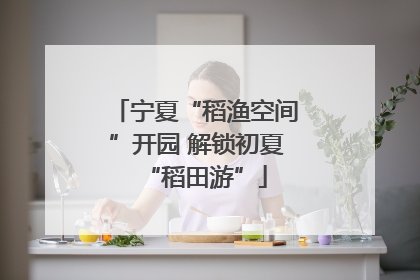宁夏“稻渔空间”开园 解锁初夏“稻田游”