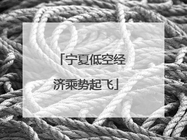 宁夏低空经济乘势起飞