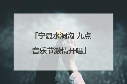 宁夏水洞沟 九点音乐节激情开唱