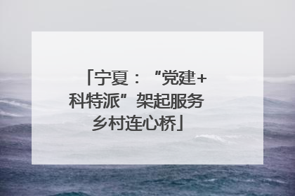 宁夏：“党建+科特派”架起服务乡村连心桥