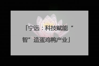 宁远：科技赋能“智”造蛋鸡鸭产业