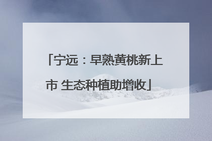 宁远：早熟黄桃新上市 生态种植助增收