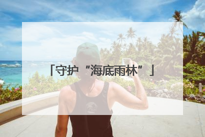 守护“海底雨林”