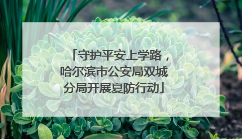 守护平安上学路，哈尔滨市公安局双城分局开展夏防行动