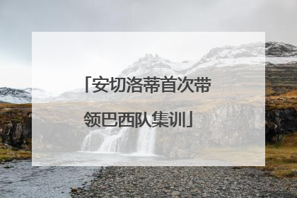 安切洛蒂首次带领巴西队集训