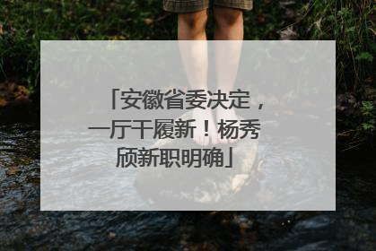 安徽省委决定，一厅干履新！杨秀颀新职明确