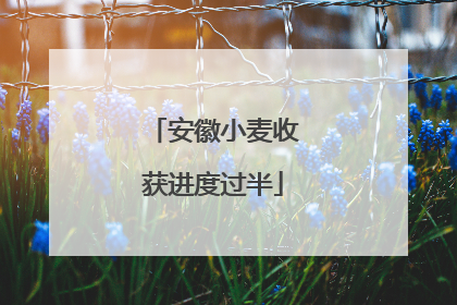 安徽小麦收获进度过半