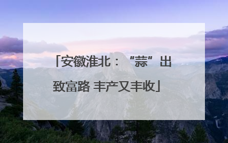 安徽淮北：“蒜”出致富路 丰产又丰收