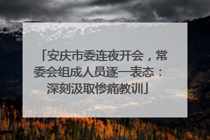 安庆市委连夜开会，常委会组成人员逐一表态：深刻汲取惨痛教训