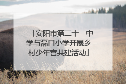 安阳市第二十一中学与磊口小学开展乡村少年宫共建活动