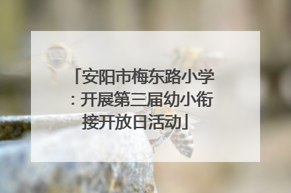 安阳市梅东路小学：开展第三届幼小衔接开放日活动