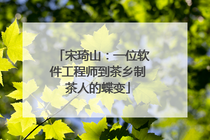宋琦山：一位软件工程师到茶乡制茶人的蝶变