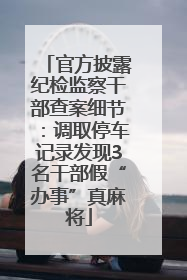 官方披露纪检监察干部查案细节：调取停车记录发现3名干部假“办事”真麻将