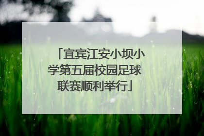 宜宾江安小坝小学第五届校园足球联赛顺利举行