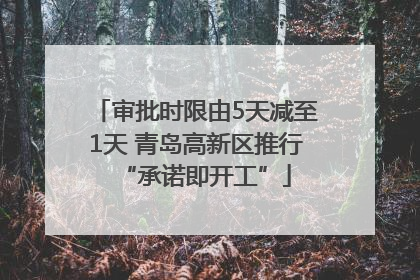 审批时限由5天减至1天 青岛高新区推行“承诺即开工”