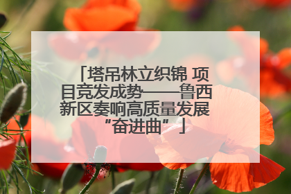 塔吊林立织锦 项目竞发成势——鲁西新区奏响高质量发展“奋进曲”
