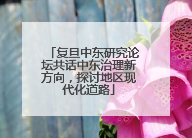 复旦中东研究论坛共话中东治理新方向，探讨地区现代化道路