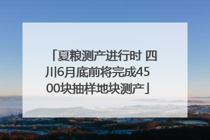 夏粮测产进行时 四川6月底前将完成4500块抽样地块测产