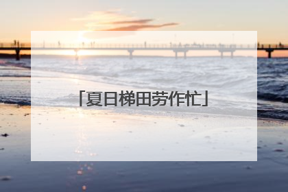夏日梯田劳作忙