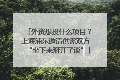 外资想投什么项目？上海浦东邀请供需双方“坐下来掰开了谈”
