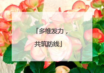 多维发力，共筑防线