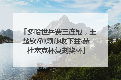 多哈世乒赛三连冠，王楚钦/孙颖莎收下兹·赫杜塞克杯复刻奖杯