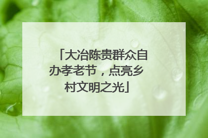 大冶陈贵群众自办孝老节，点亮乡村文明之光