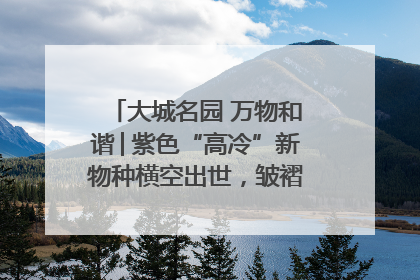 大城名园 万物和谐│紫色“高冷”新物种横空出世，皱褶叶片暗藏进化密码