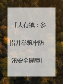 大有镇：多措并举筑牢防汛安全屏障