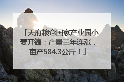 天府粮仓国家产业园小麦开镰：产量三年连涨，亩产584.3公斤！