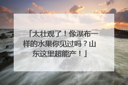 太壮观了！像瀑布一样的水果你见过吗？山东这里超能产！