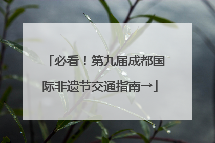 必看！第九届成都国际非遗节交通指南→