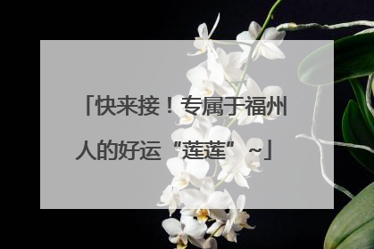 快来接！专属于福州人的好运“莲莲”~