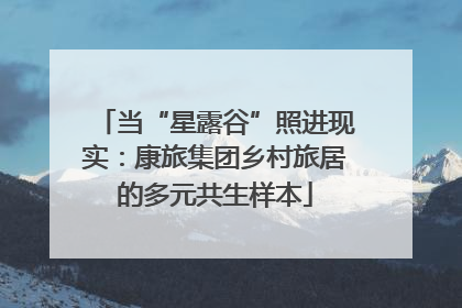 当“星露谷”照进现实：康旅集团乡村旅居的多元共生样本