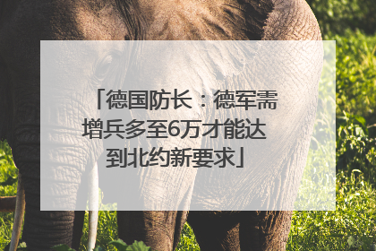 德国防长：德军需增兵多至6万才能达到北约新要求