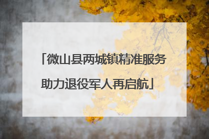 微山县两城镇精准服务助力退役军人再启航