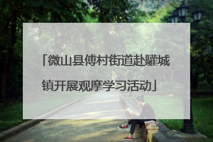 微山县傅村街道赴驩城镇开展观摩学习活动