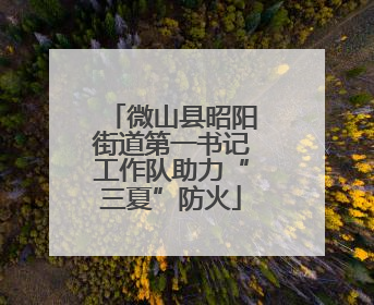 微山县昭阳街道第一书记工作队助力“三夏”防火