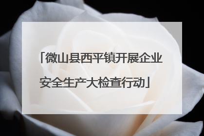 微山县西平镇开展企业安全生产大检查行动