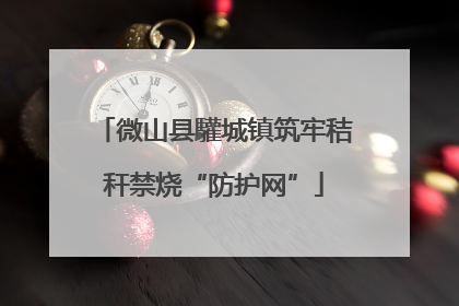 微山县驩城镇筑牢秸秆禁烧“防护网”