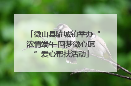 微山县驩城镇举办“浓情端午·圆梦微心愿”爱心帮扶活动
