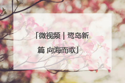 微视频｜鹭岛新篇 向海而歌