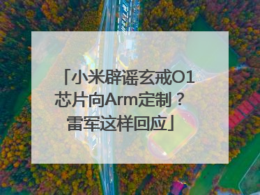 小米辟谣玄戒O1芯片向Arm定制？雷军这样回应