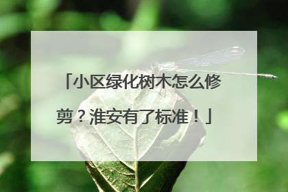 小区绿化树木怎么修剪？淮安有了标准！